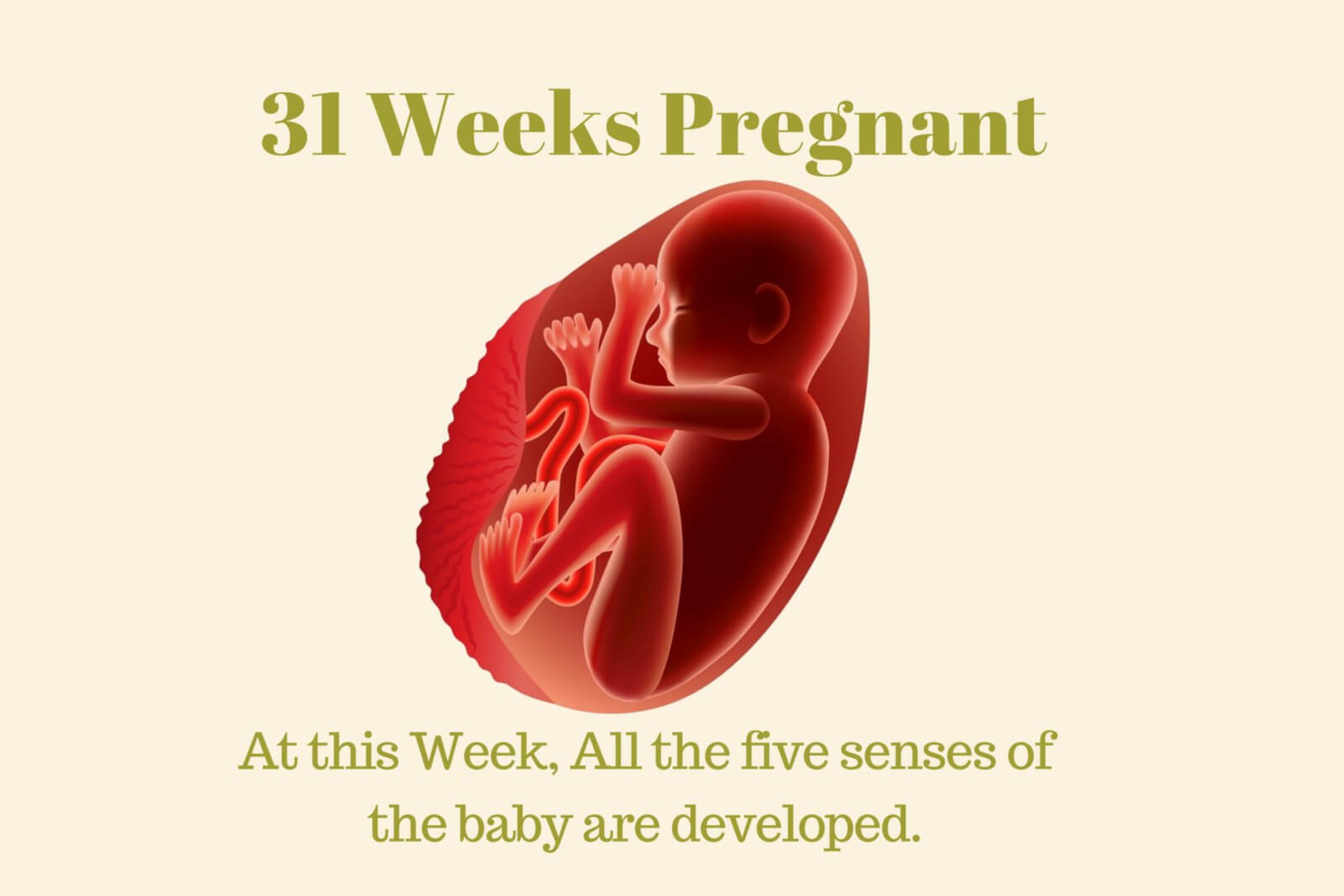 31 Weeks Pregnant Giving Birth