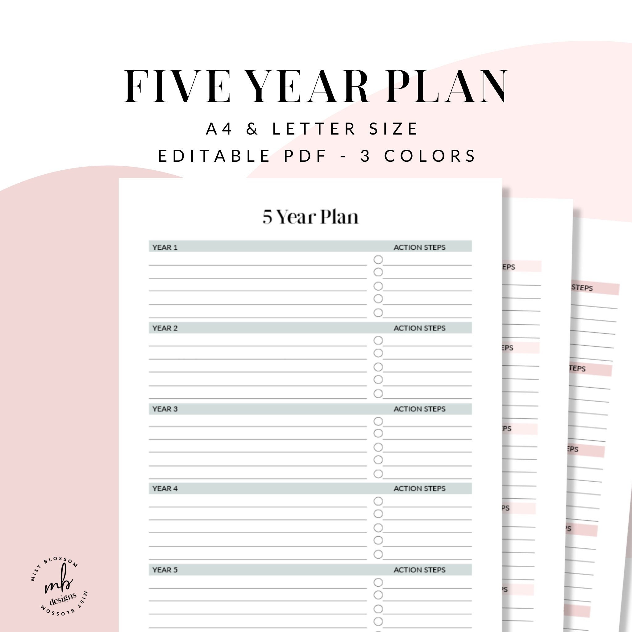 5 Year Plan Template
