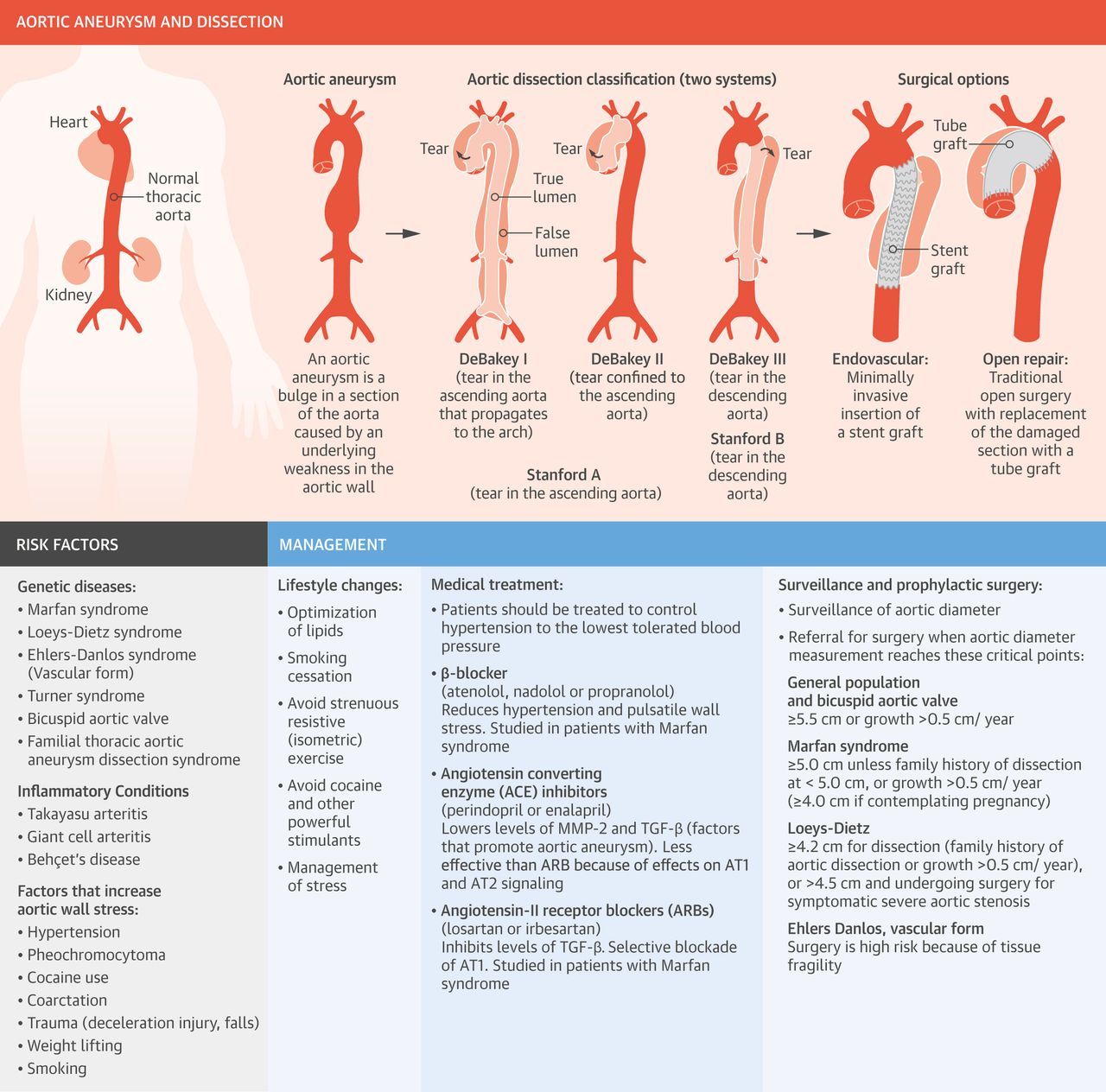 Aaa Screening Recommendations