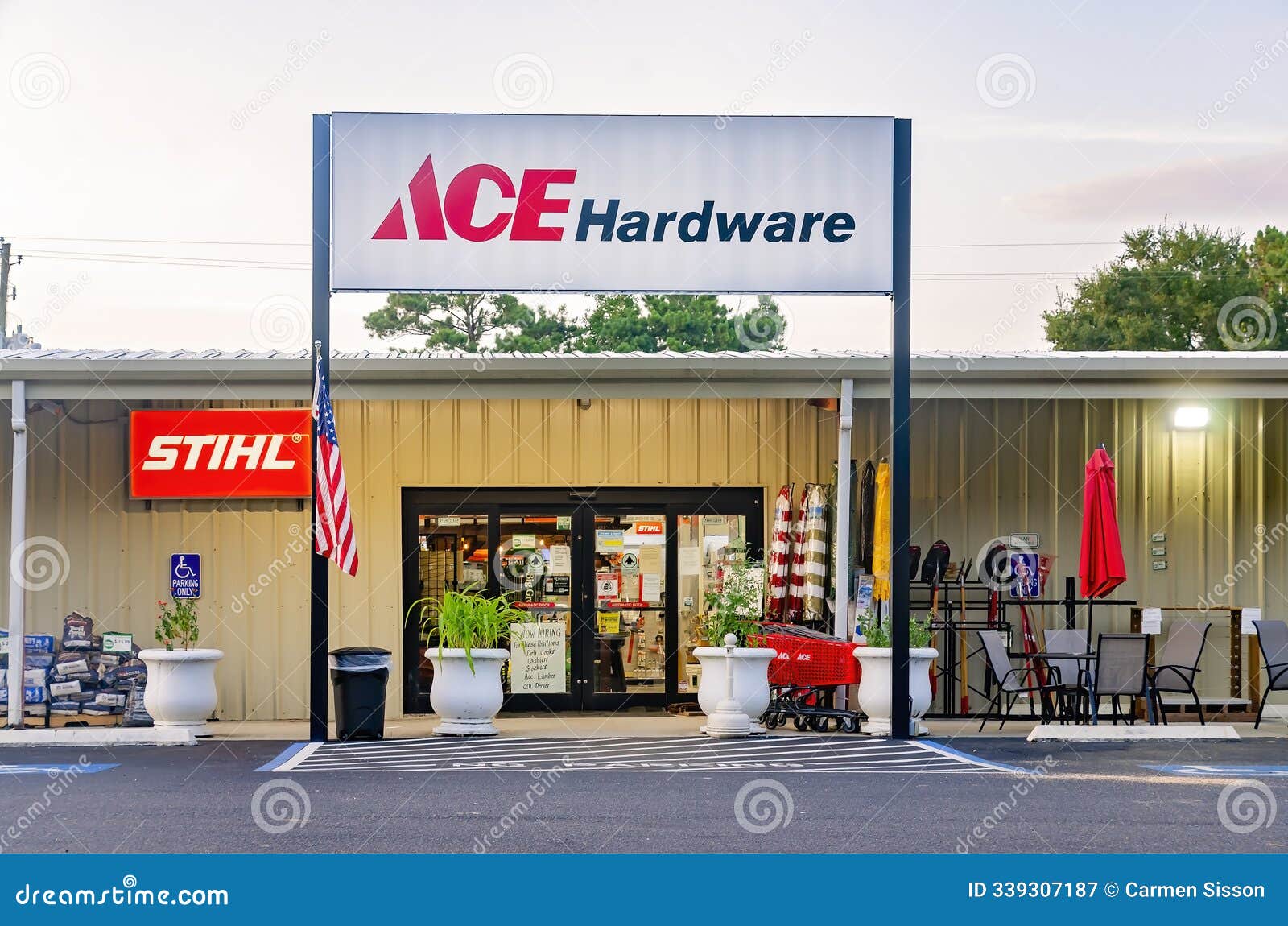 Ace Hardware Dixon Il