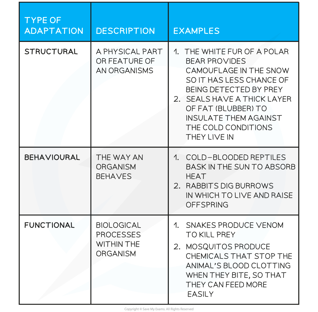 Adaptation Of Questions