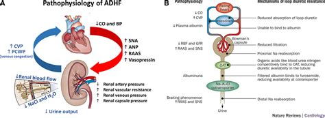 Adhf Medical Abbreviation