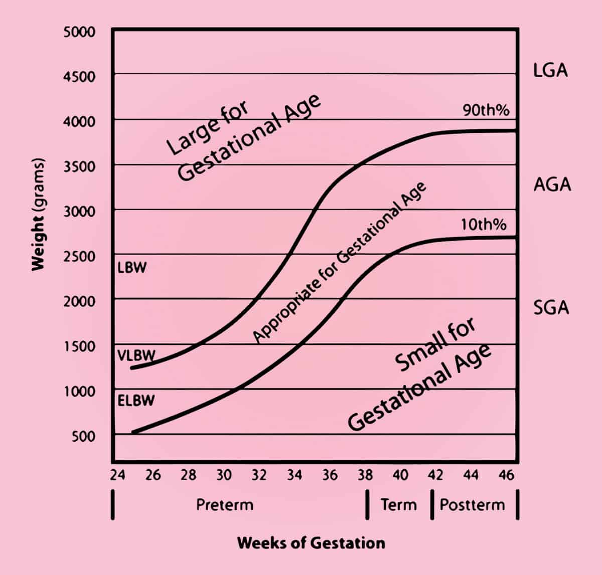 Age Of Gestation