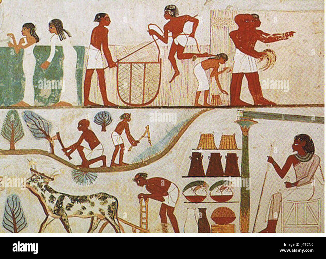 Agriculture In Ancient Egypt