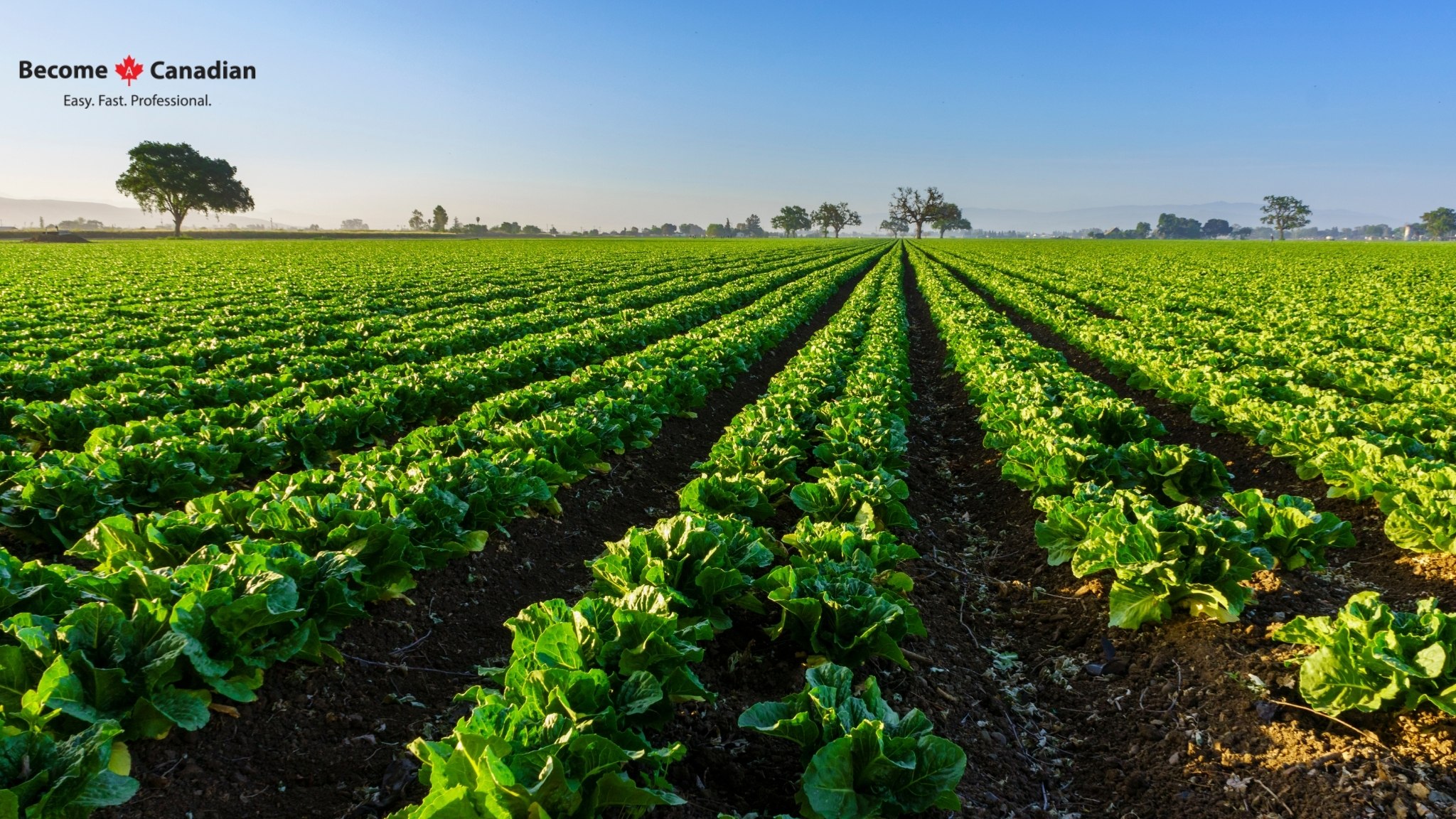 Agriculture In Canada