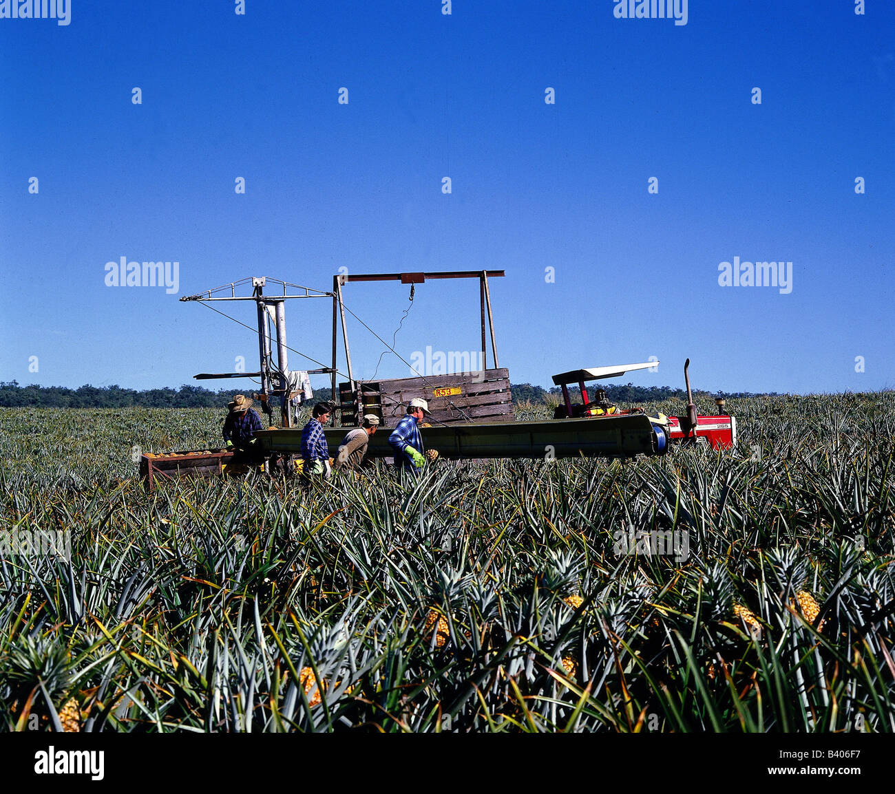 Agriculture In Queensland