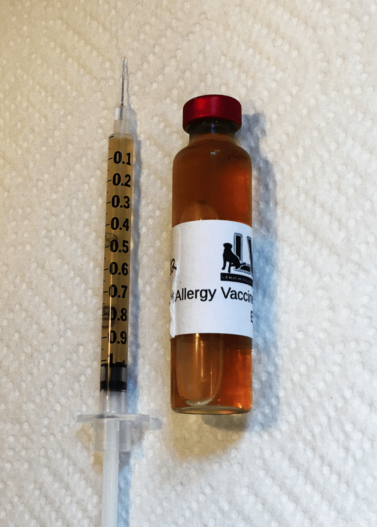 Allergic To Dogs Allergy Shots