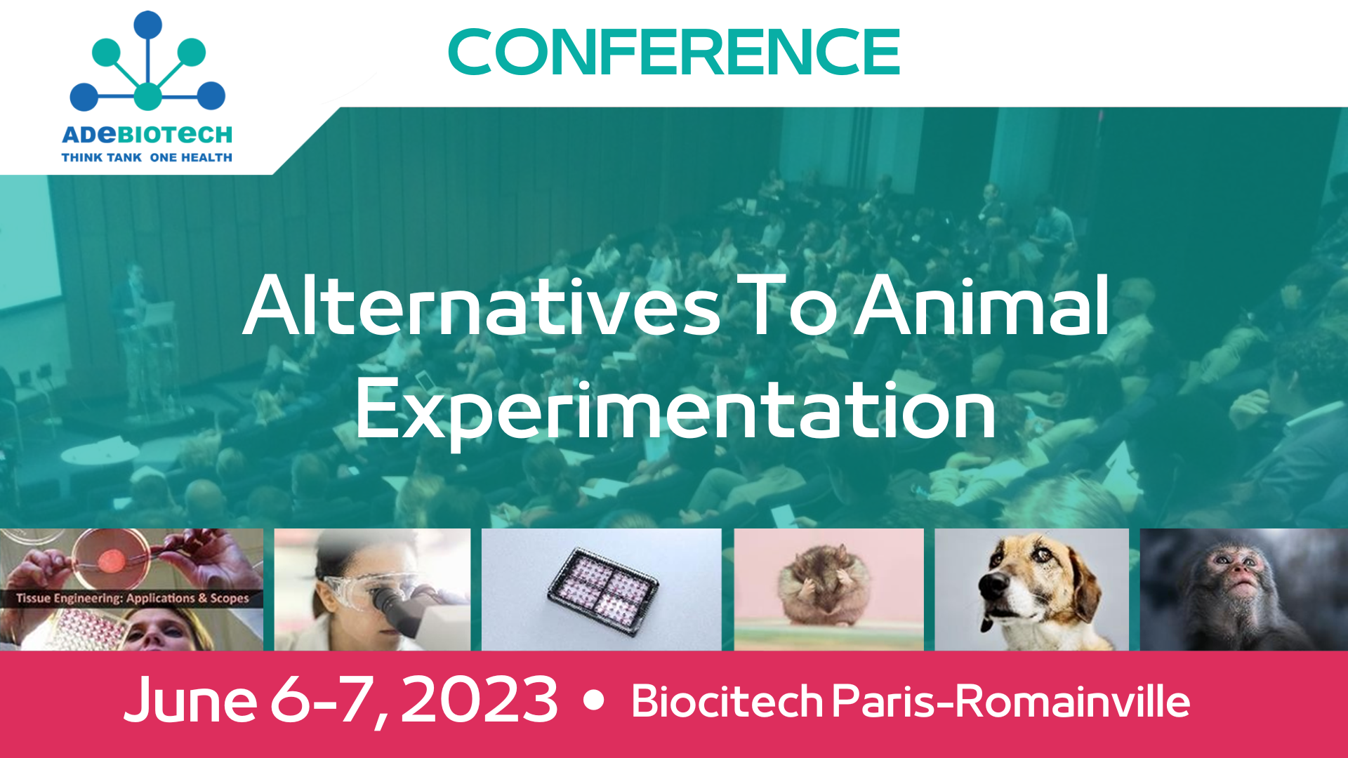 Alternatives To Animal Experimentation