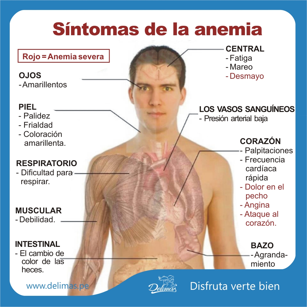 Anemia Test Iron Deficiency Anaemia Ferritin in Blood Test - One Step ...