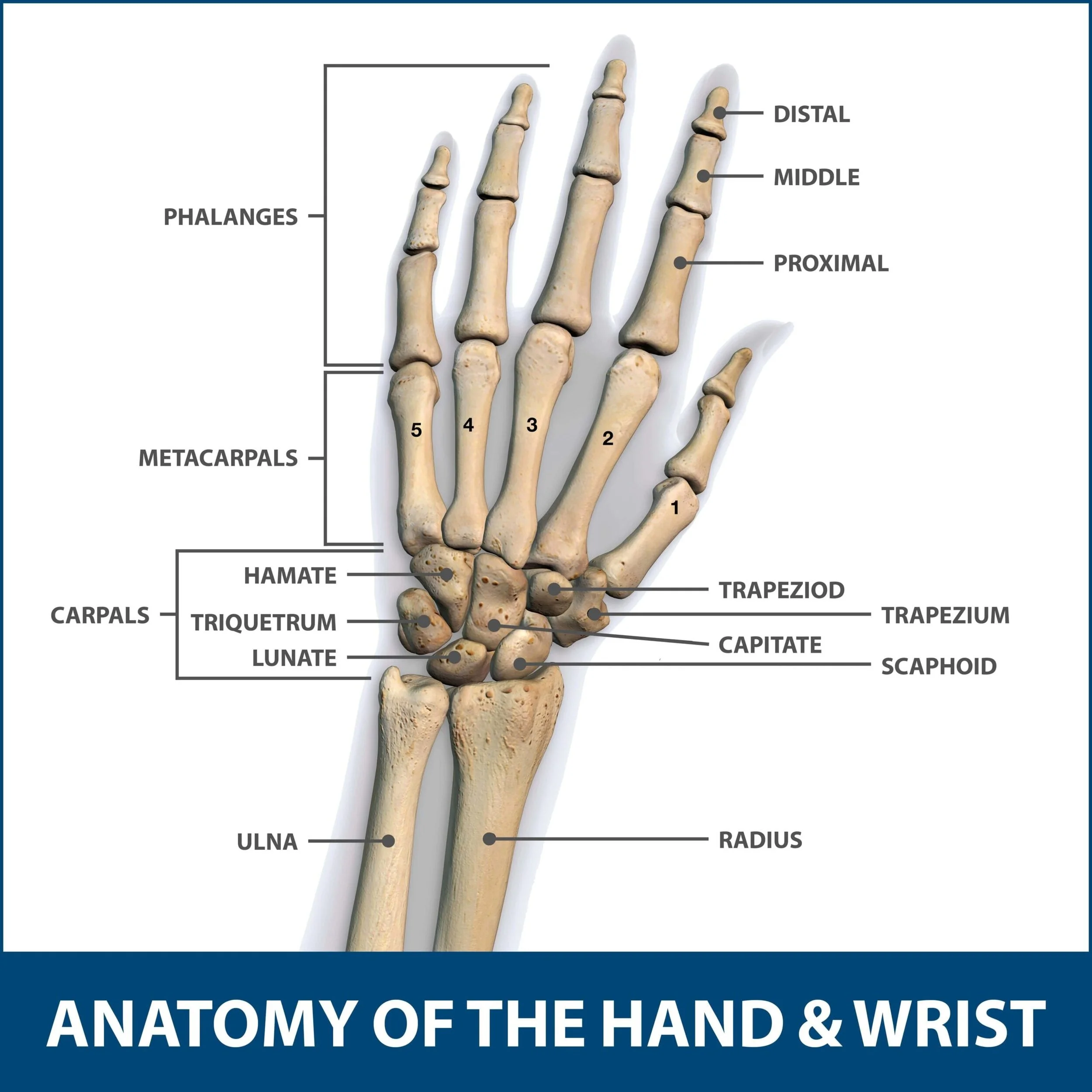 Anne Your Medical Assistant Onlyfans