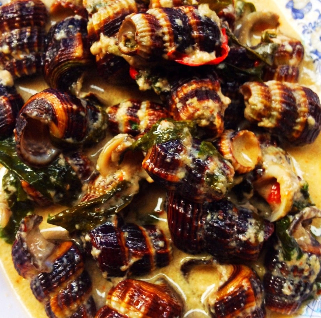 Are Snails Shellfish