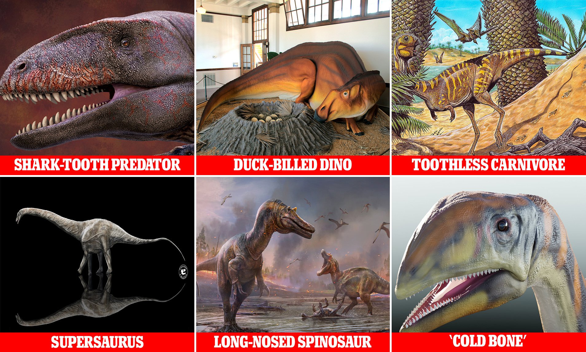 Are There Any Dinosaurs Still Alive