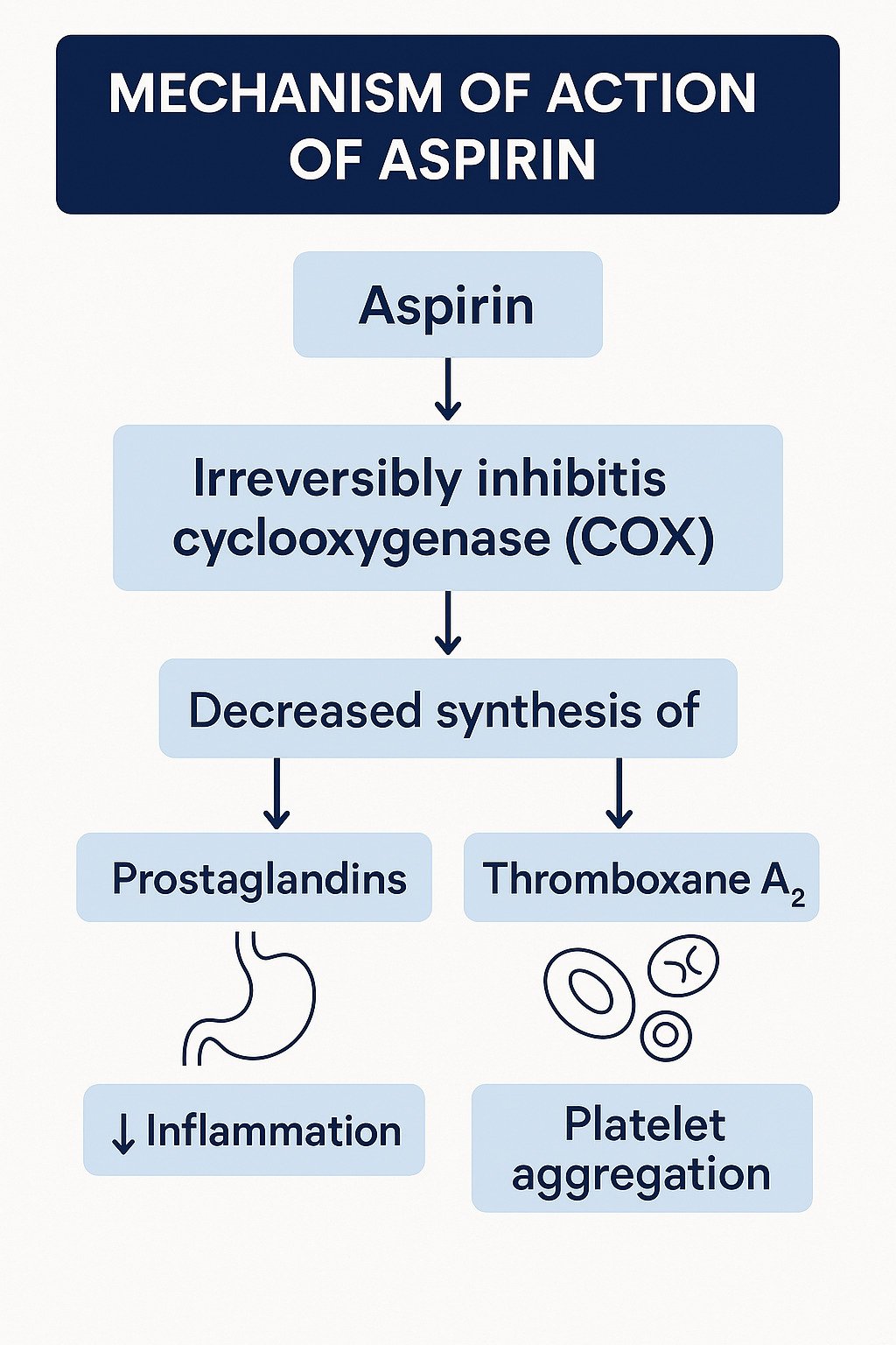 Aspirin Mechanism