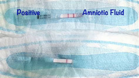 At Home Test For Amniotic Fluid Leak