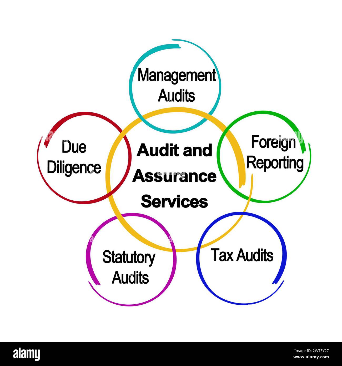 Audit And Assurance