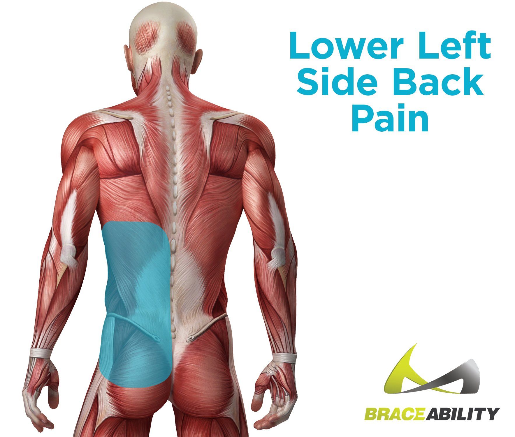 Back Left Side Pain
