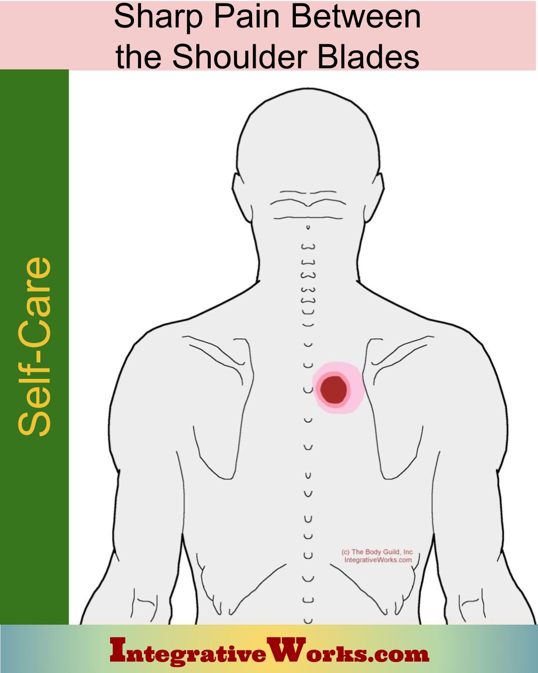 Back Shoulder Blade Pain