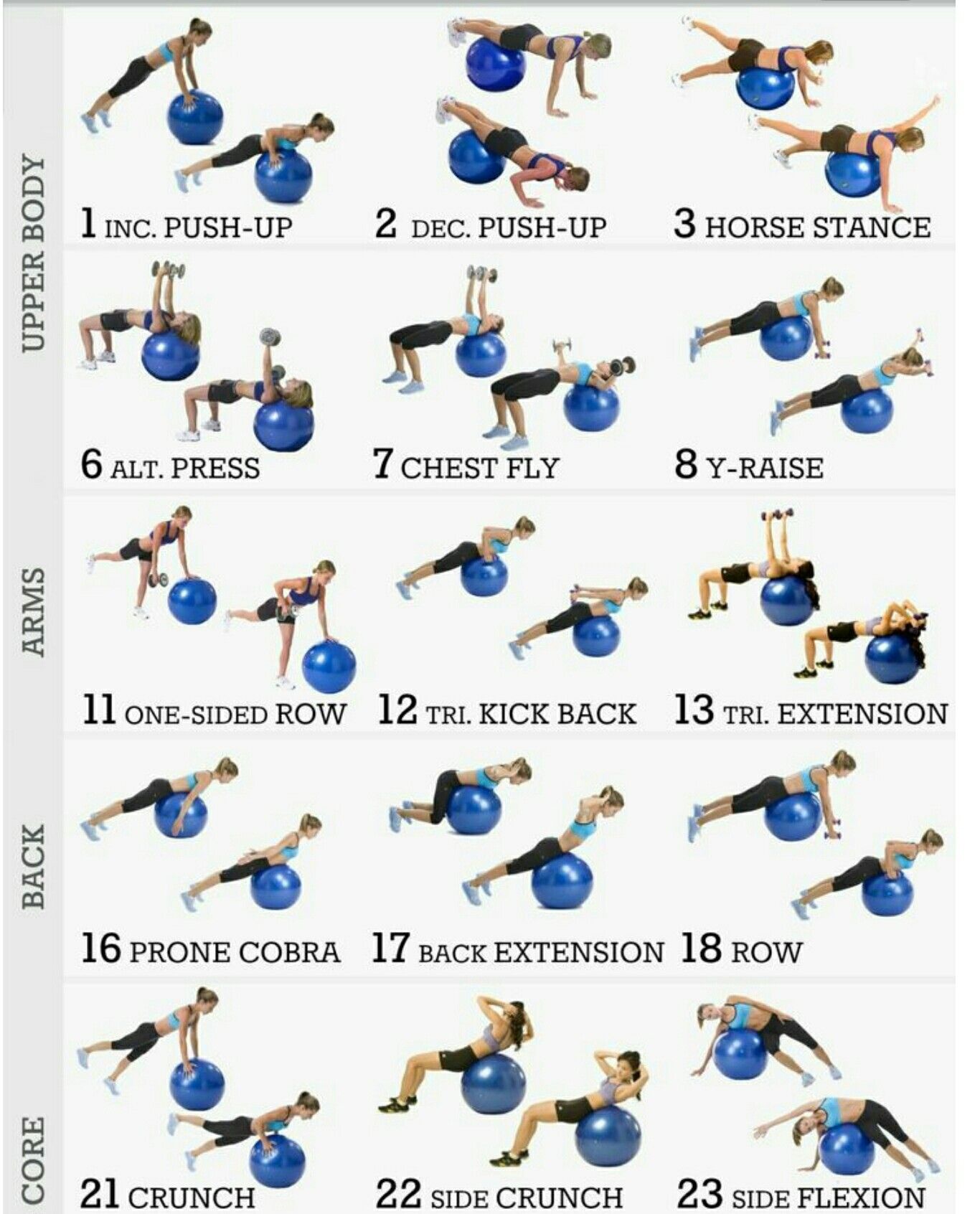 Ball Sucking Blow Jobs