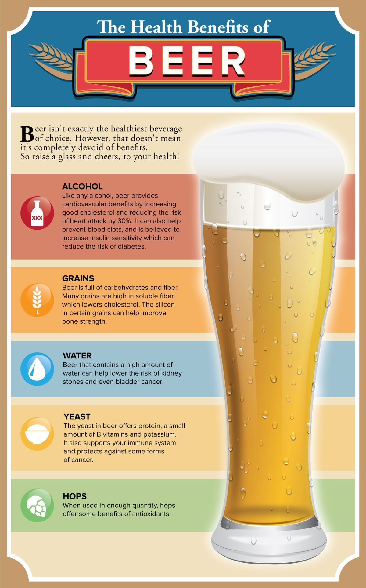 Beer Is Healthy For You