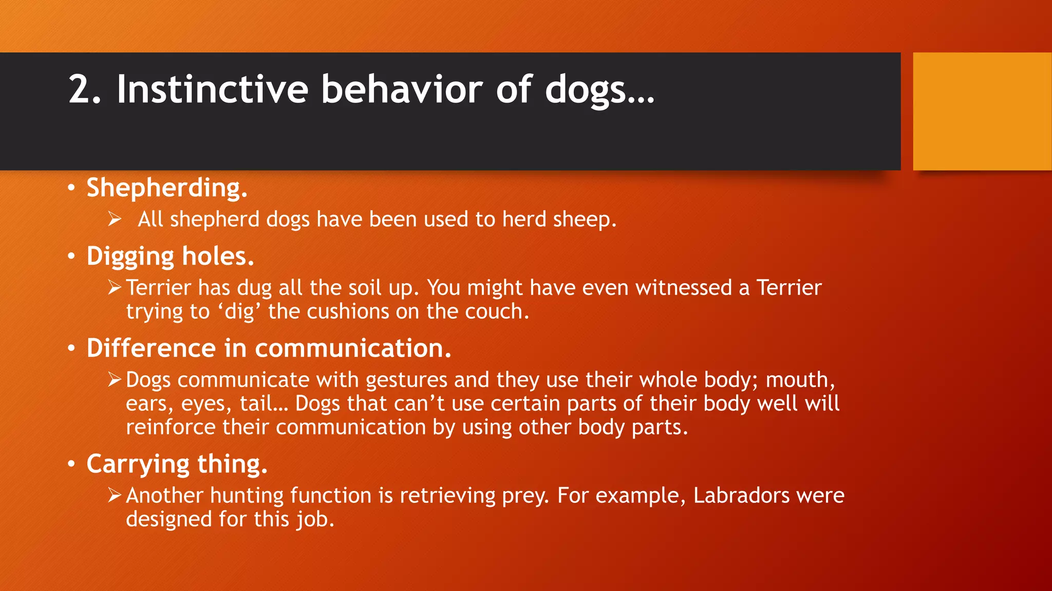 Behavior Of Dogs