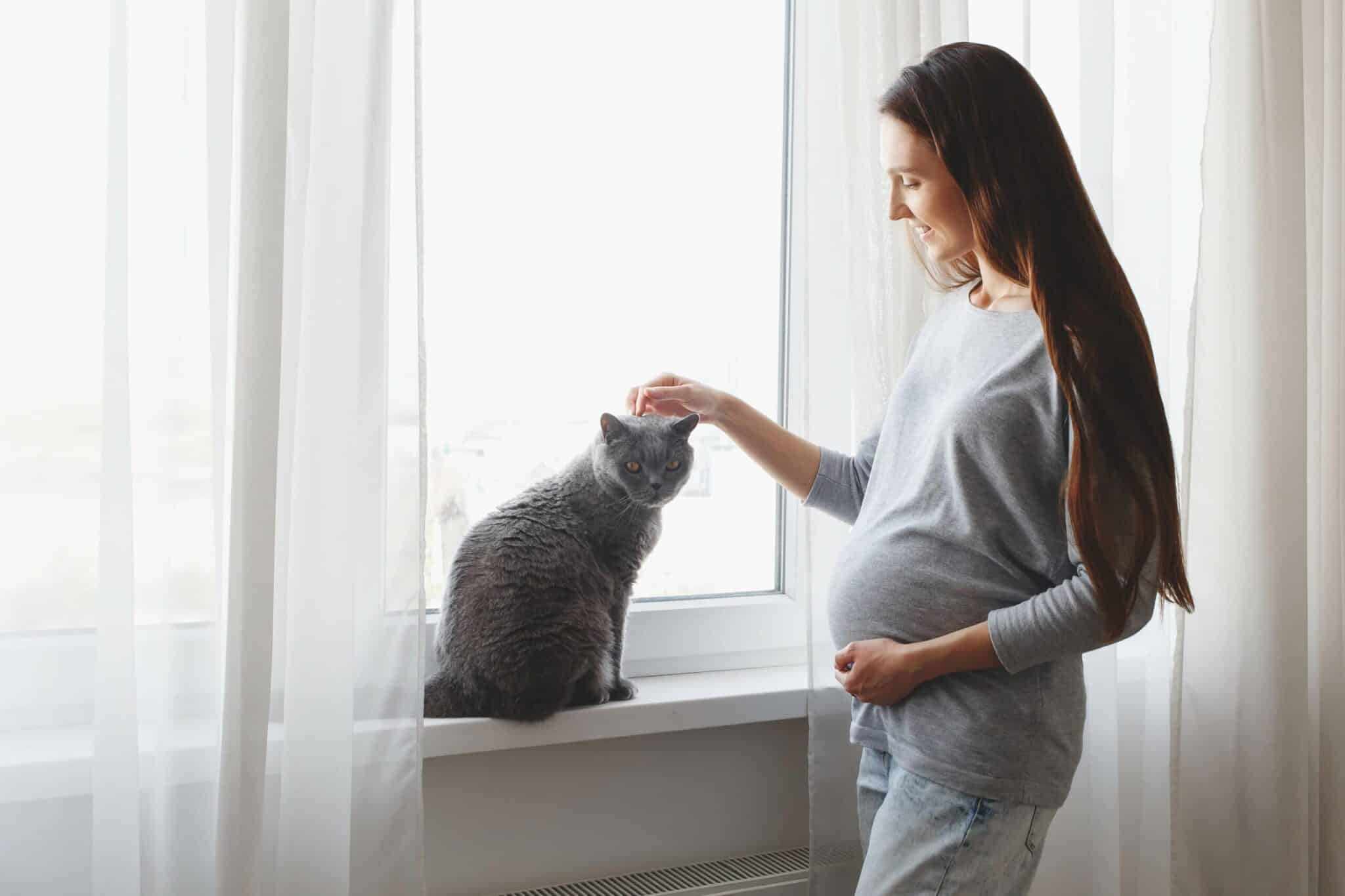 Behavior Of Pregnant Women