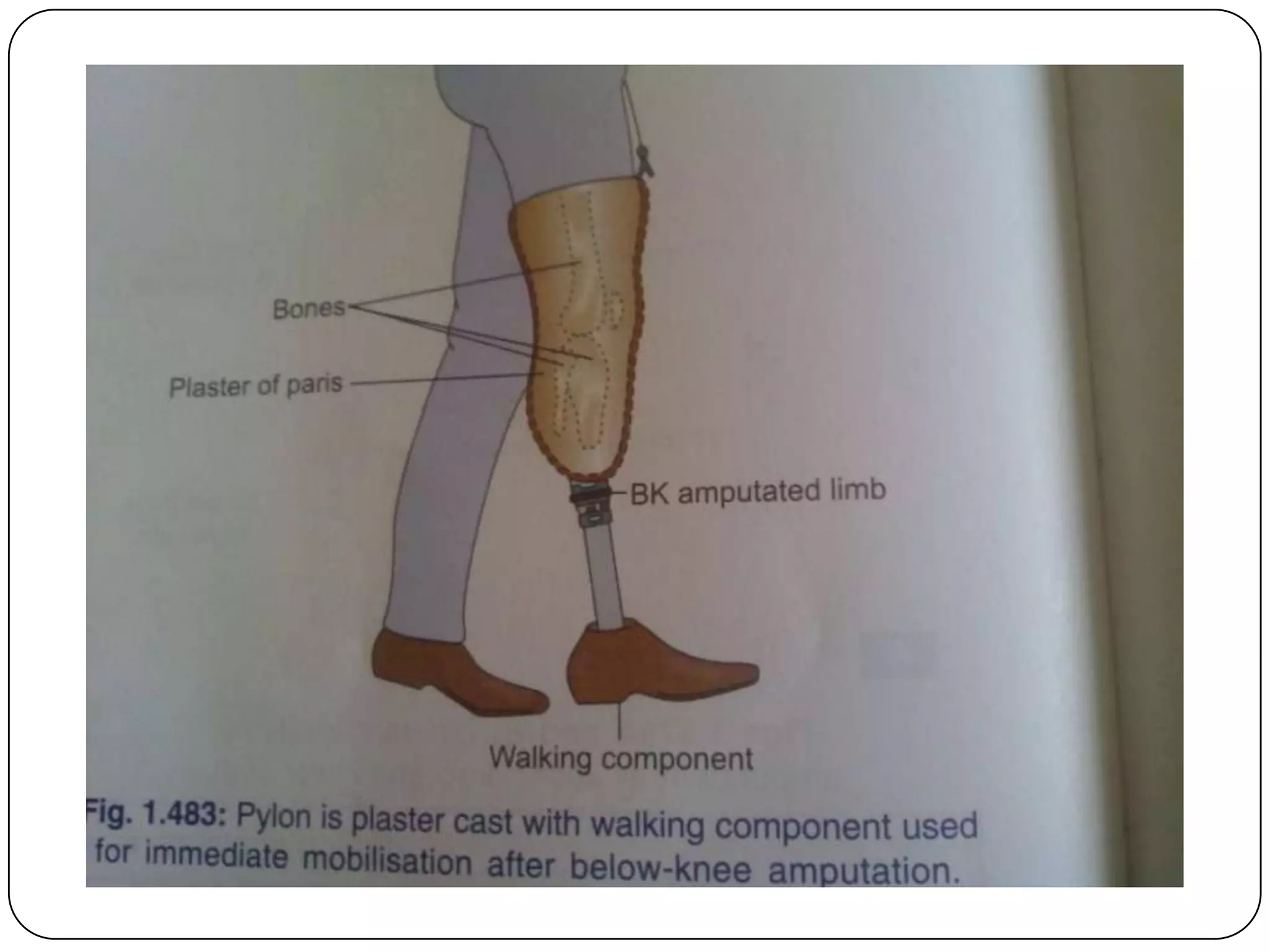 Below Deck Cast With Onlyfans