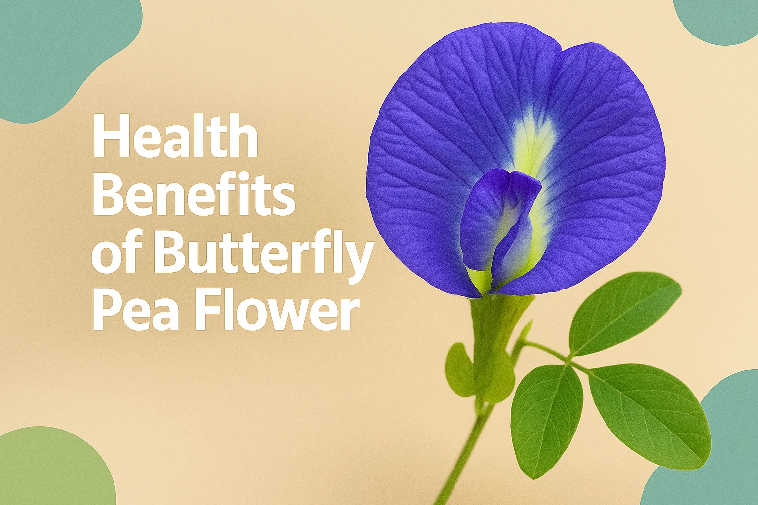 Benefits Of Butterfly Pea Flower