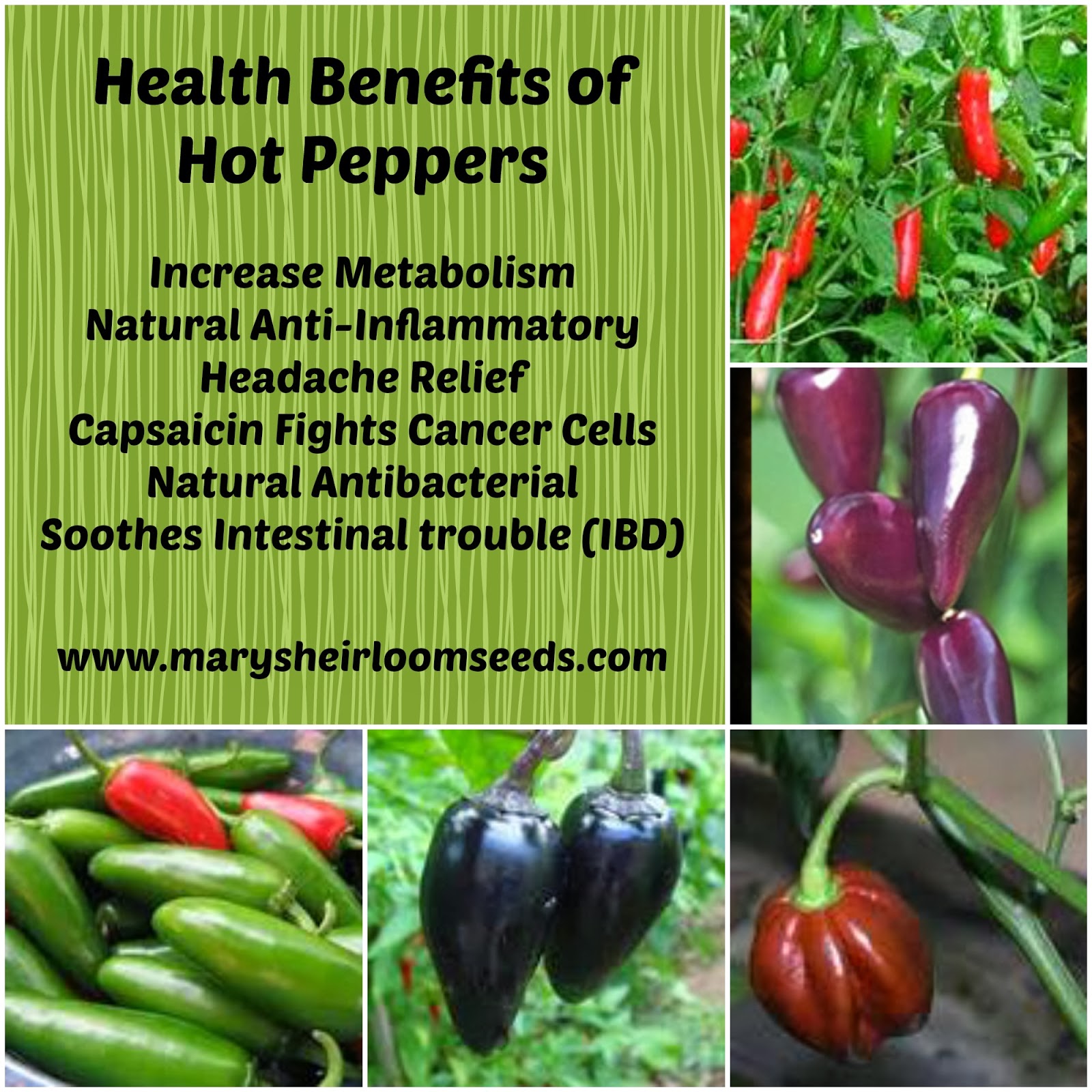 Benefits Of Hot Pepper