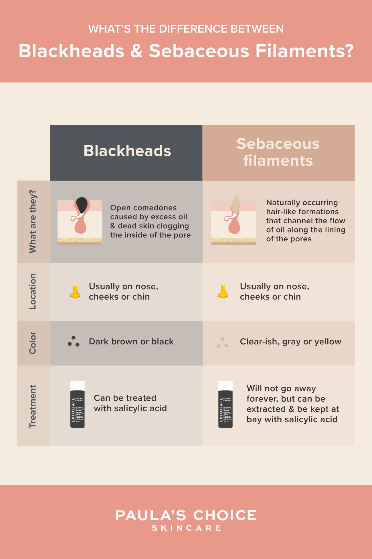 Blackheads Vs Sebaceous Filaments