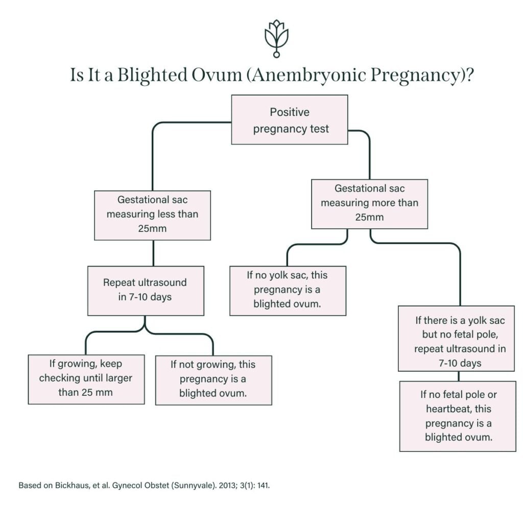 Blighted Ovum Symptoms