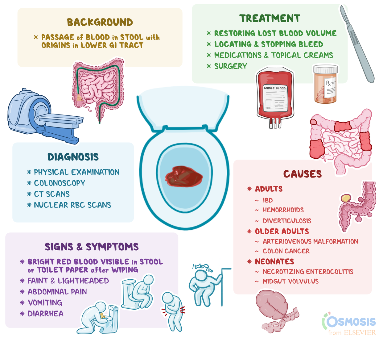 Blood Motions Causes