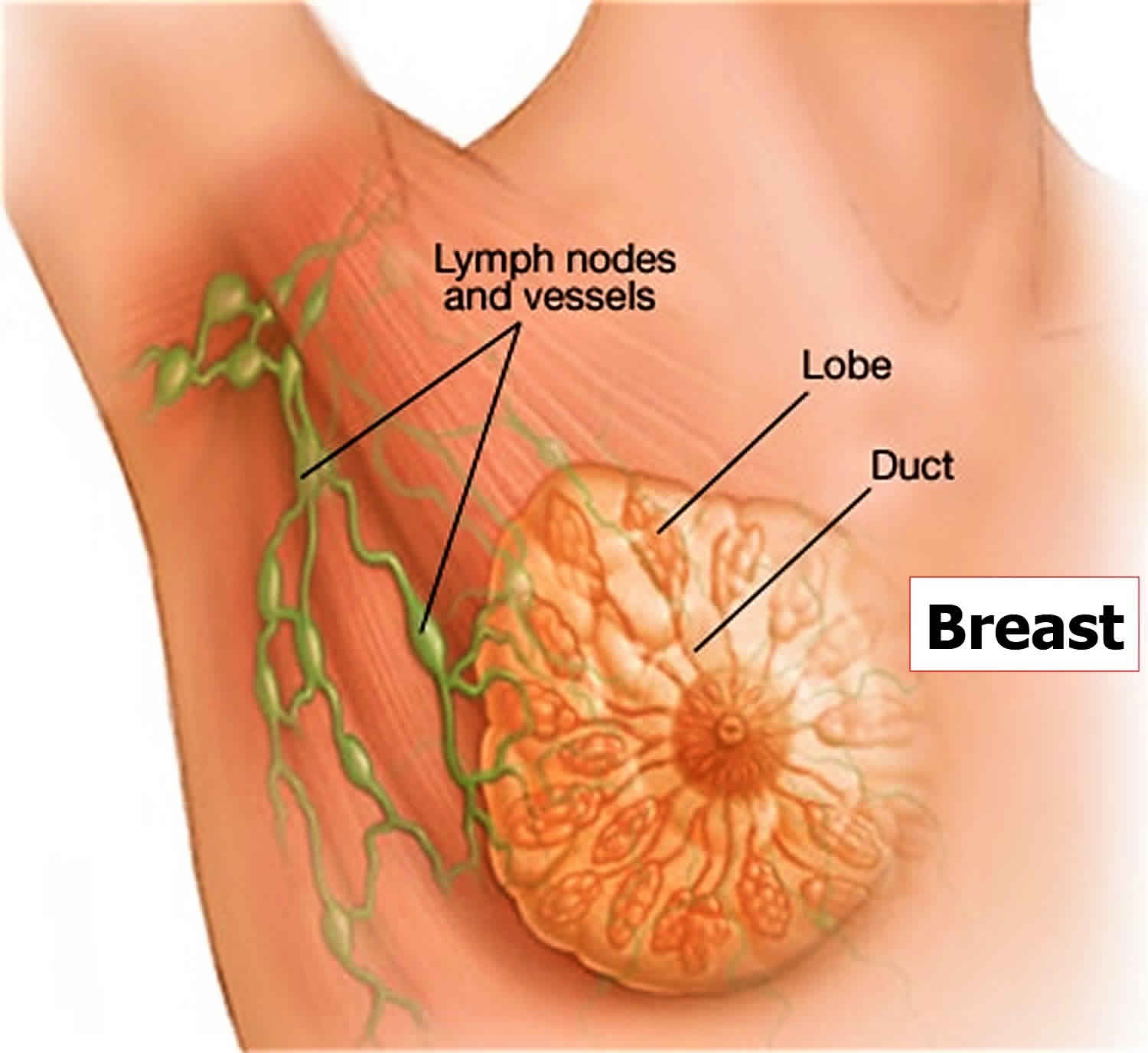 Breastfeeding Armpit Lumps
