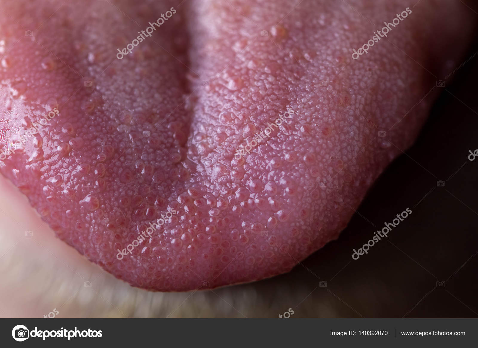 Bump Tip Tongue