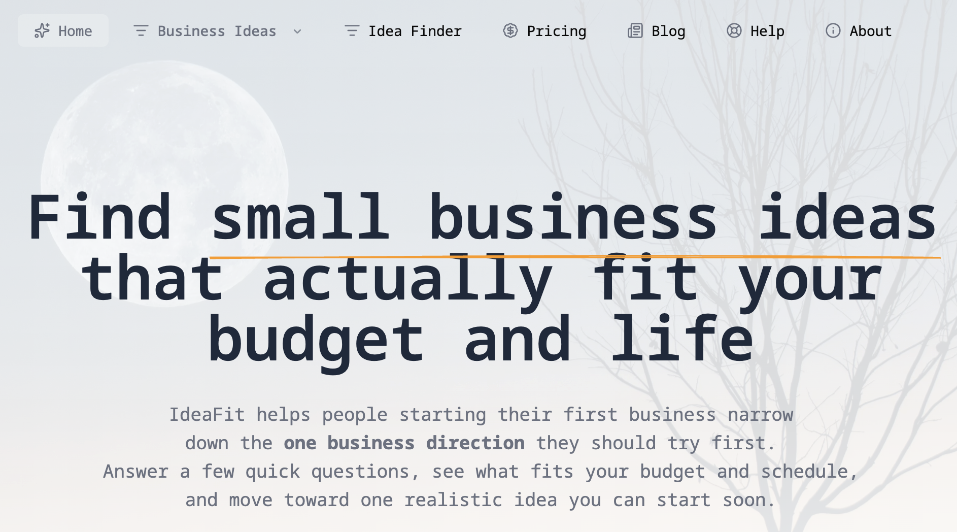 Business Ideas For Beginners