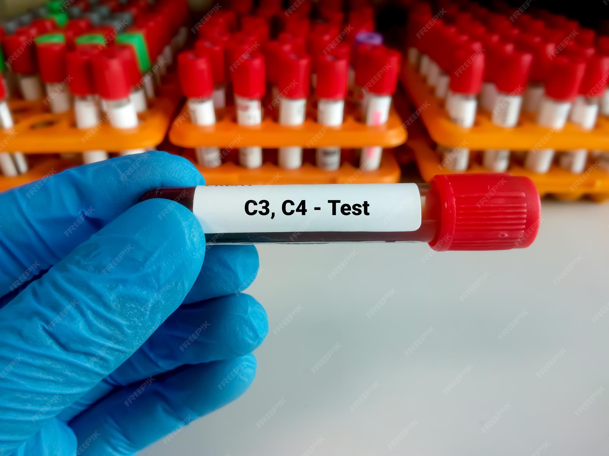 C3 Laboratory Test