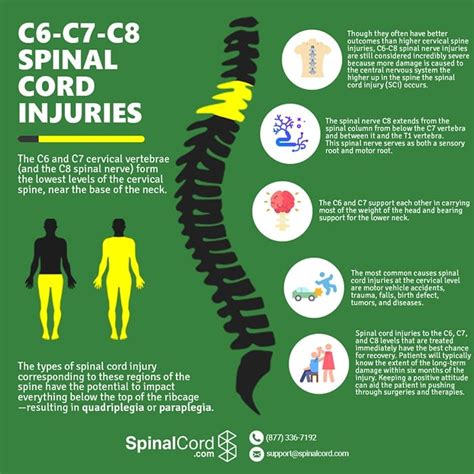 C6 Spinal Cord Injury