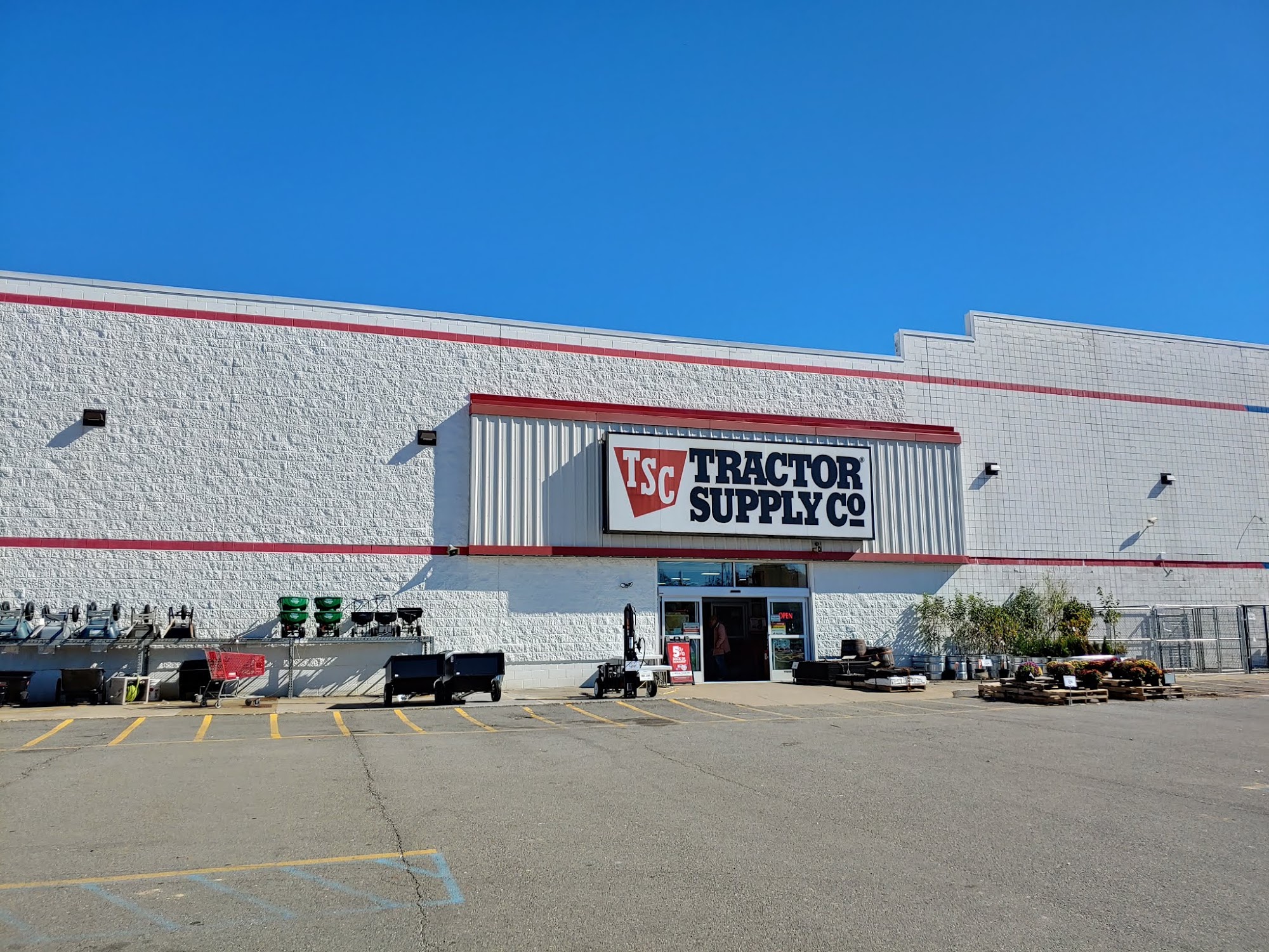 Camilla Araãºjo Nudes