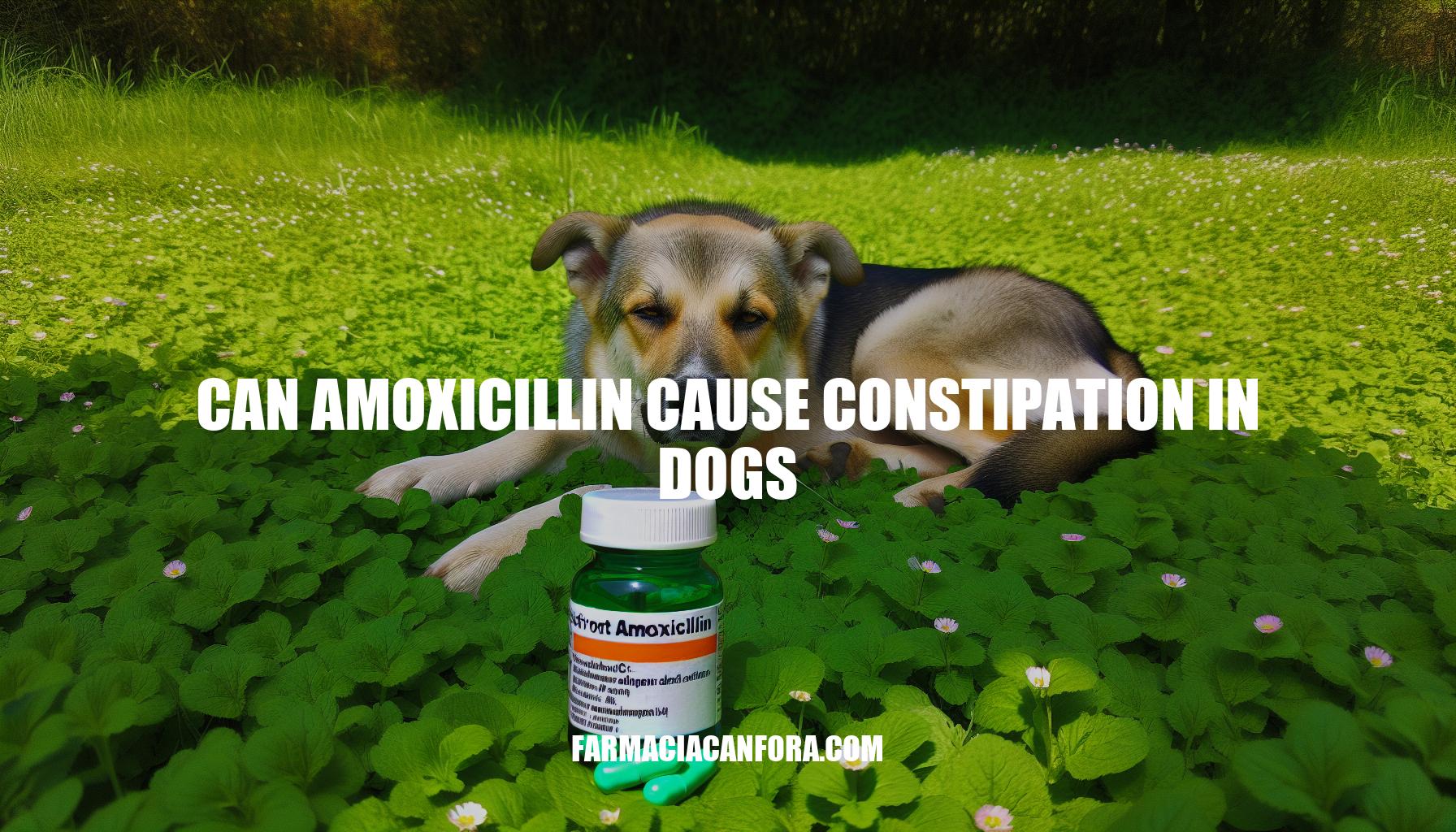 Can Amoxicillin Cause Constipation