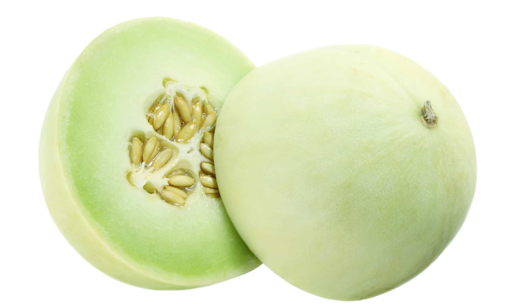 Can Dogs Eat Honeydew
