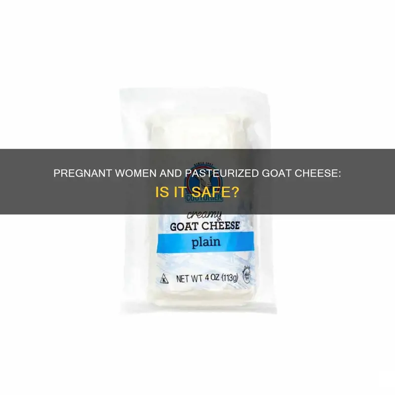 Can Pregnant Women Eat Goat Cheese