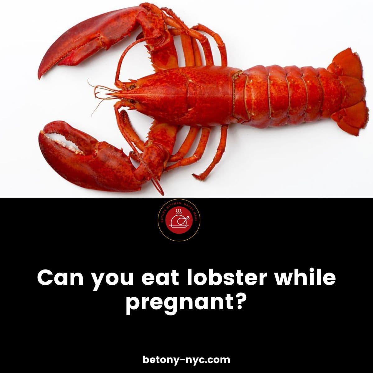 Can Pregnant Women Eat Lobster