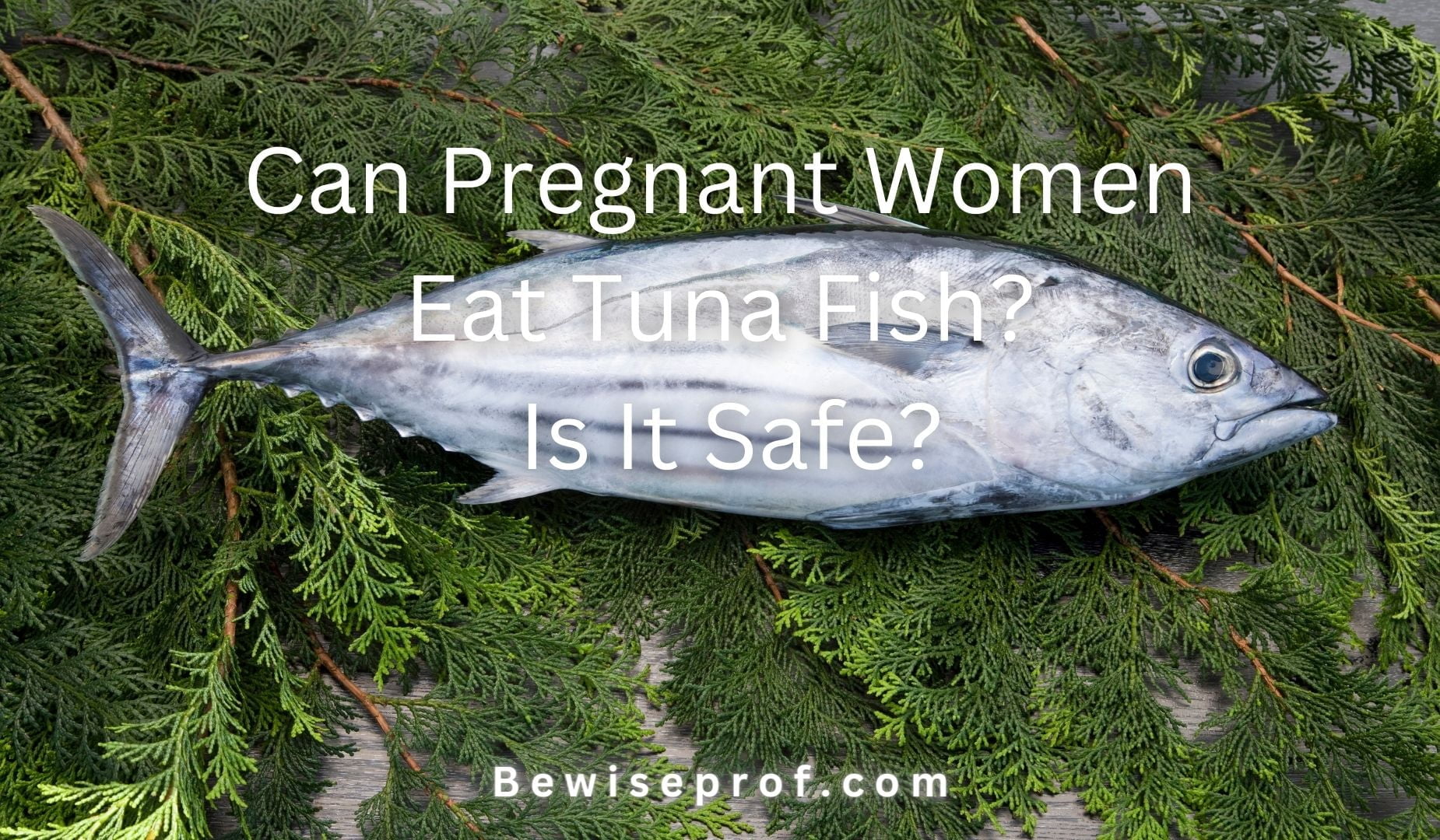 Can Pregnant Women Eat Tuna