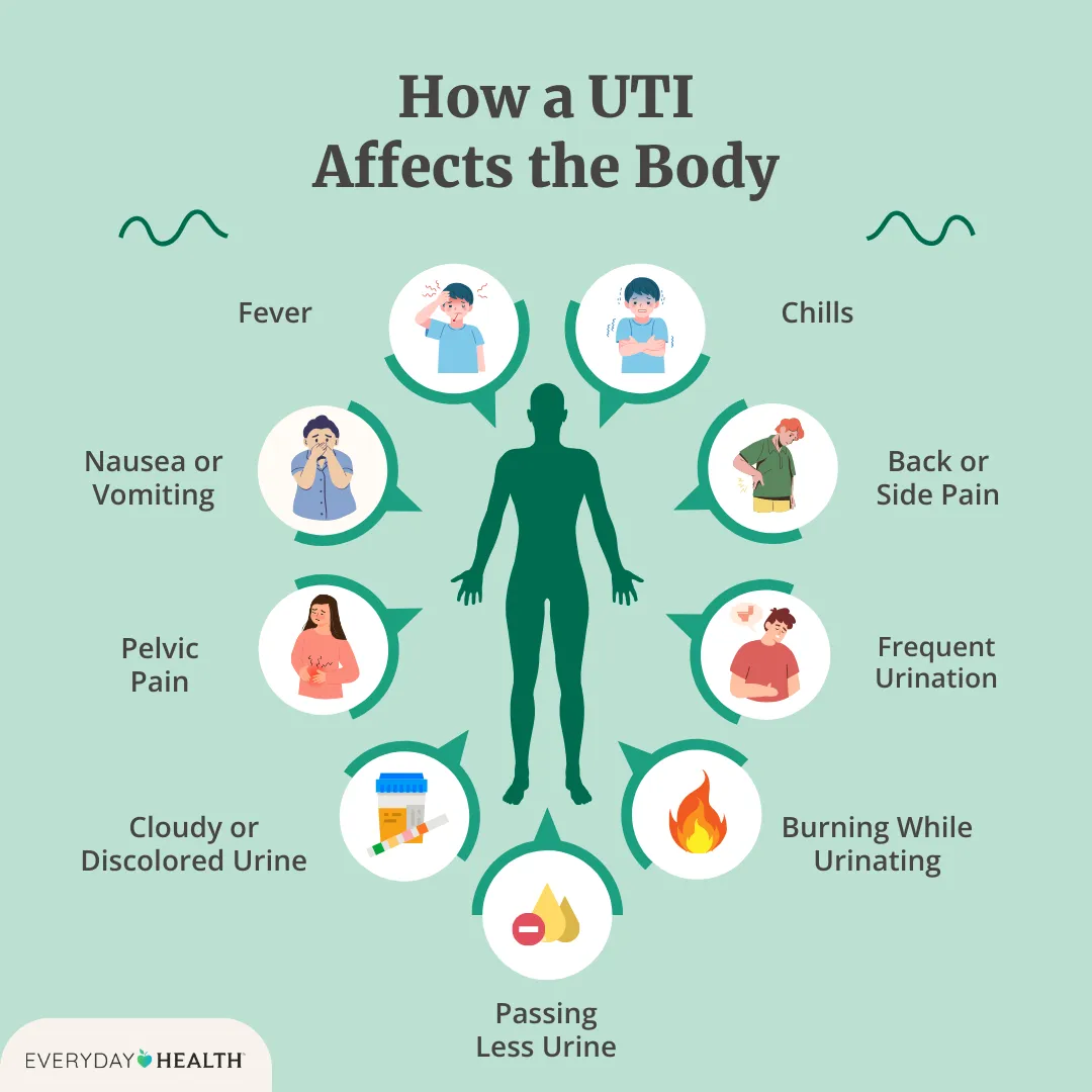 Can Uti Cause Nausea