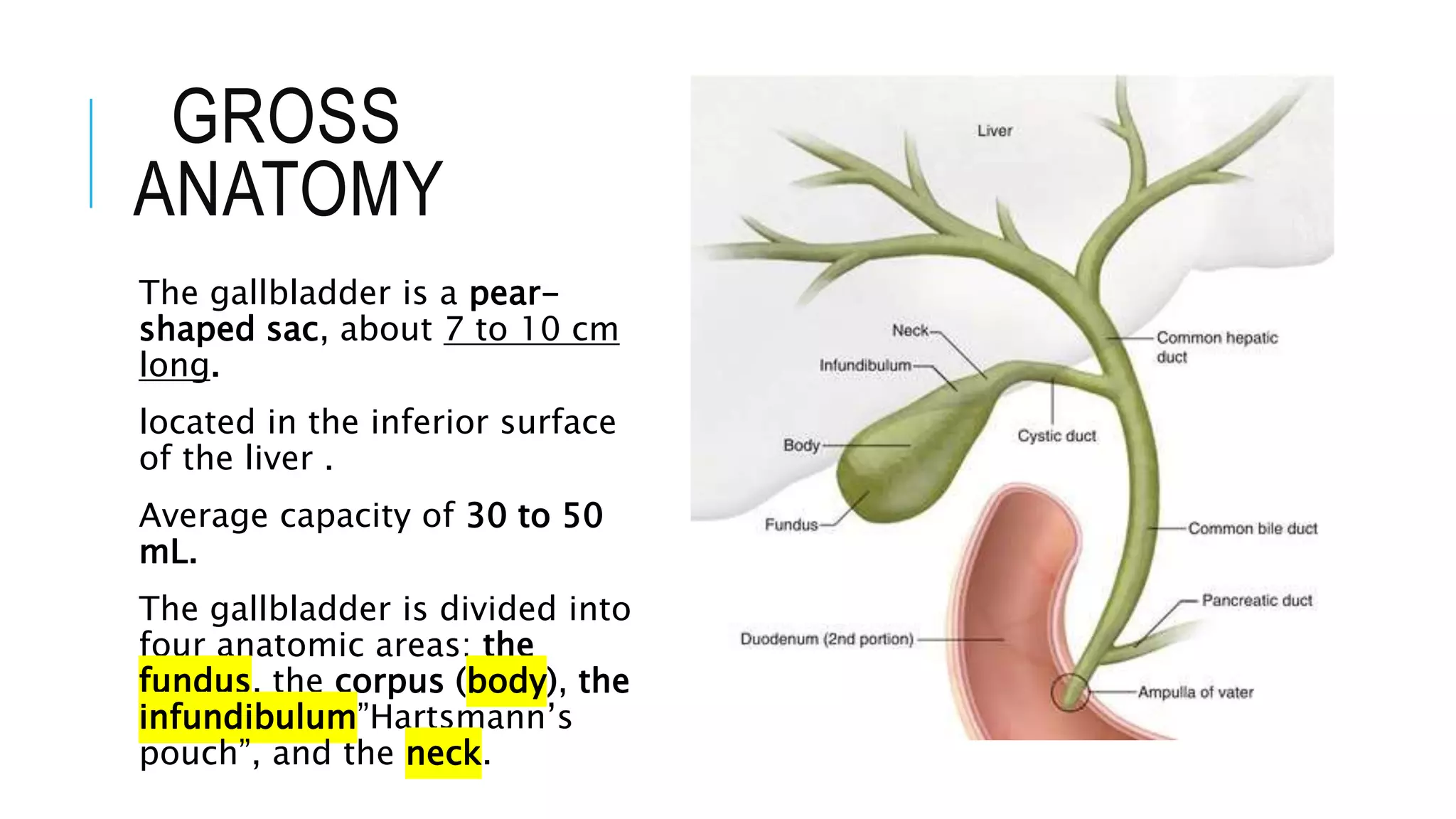 Capacity Of Gall Bladder In Ml