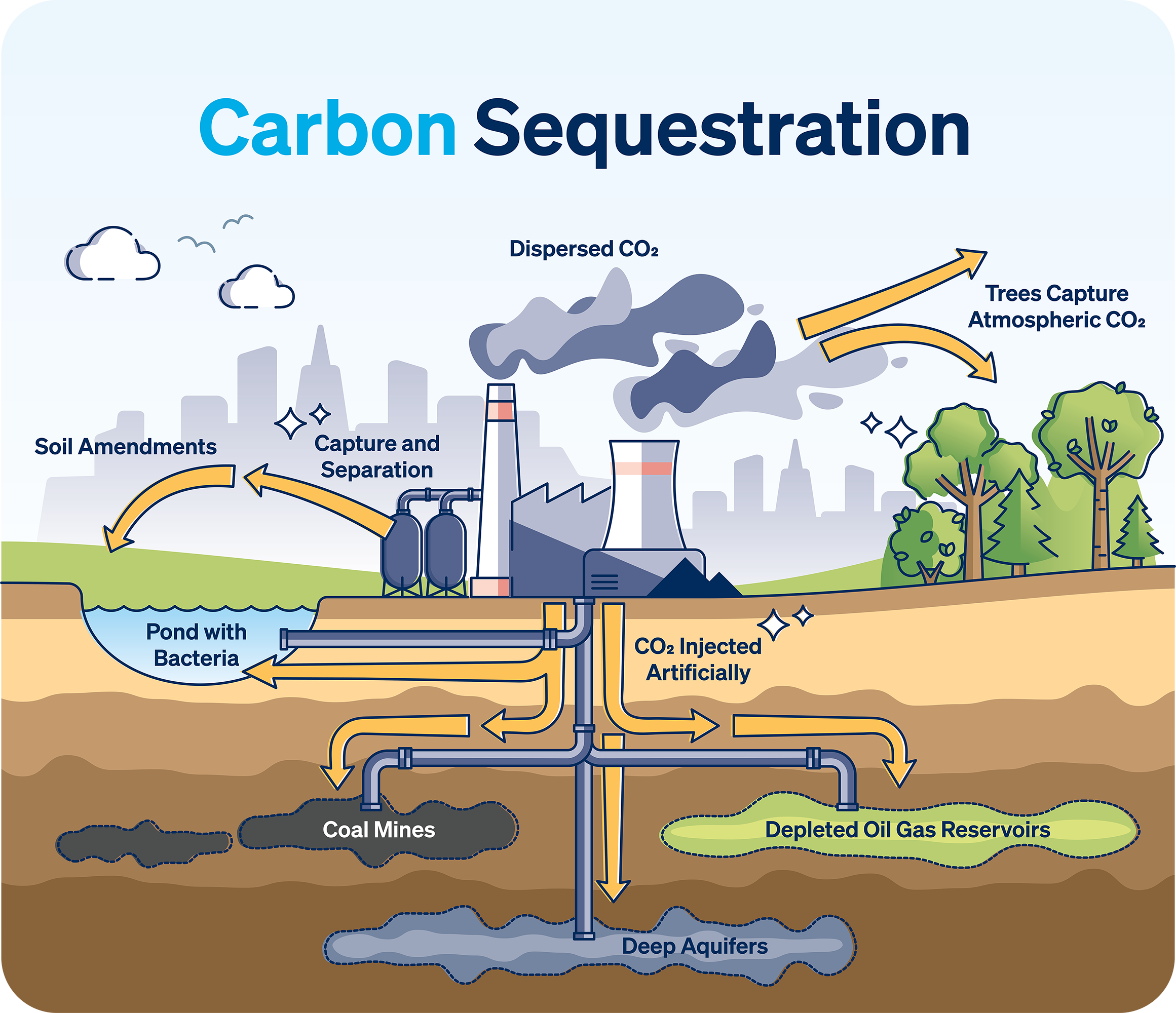 Carbon Sequestration Summer Internship