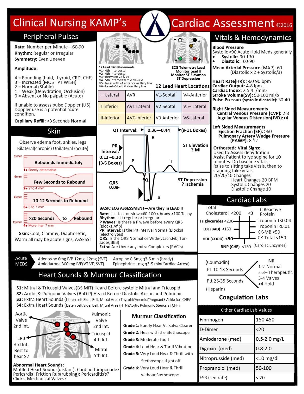 Cardiac Assessment