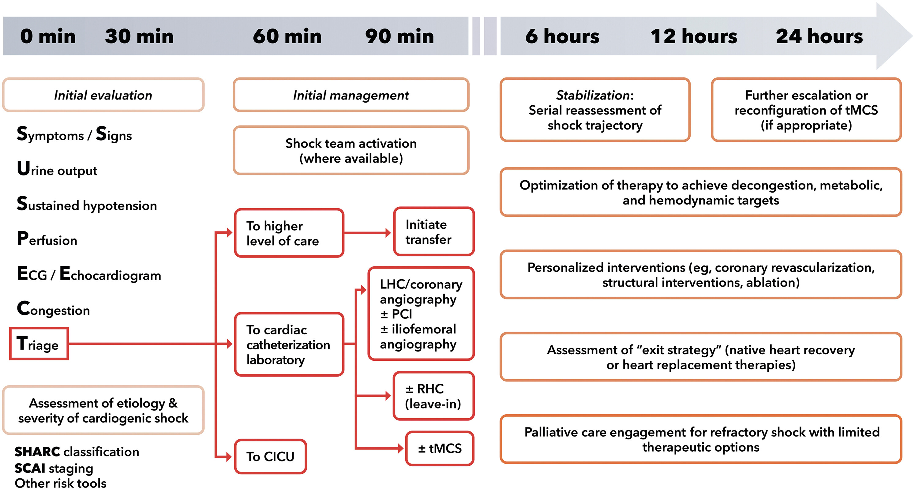 Cardiogenic Shock Treatment