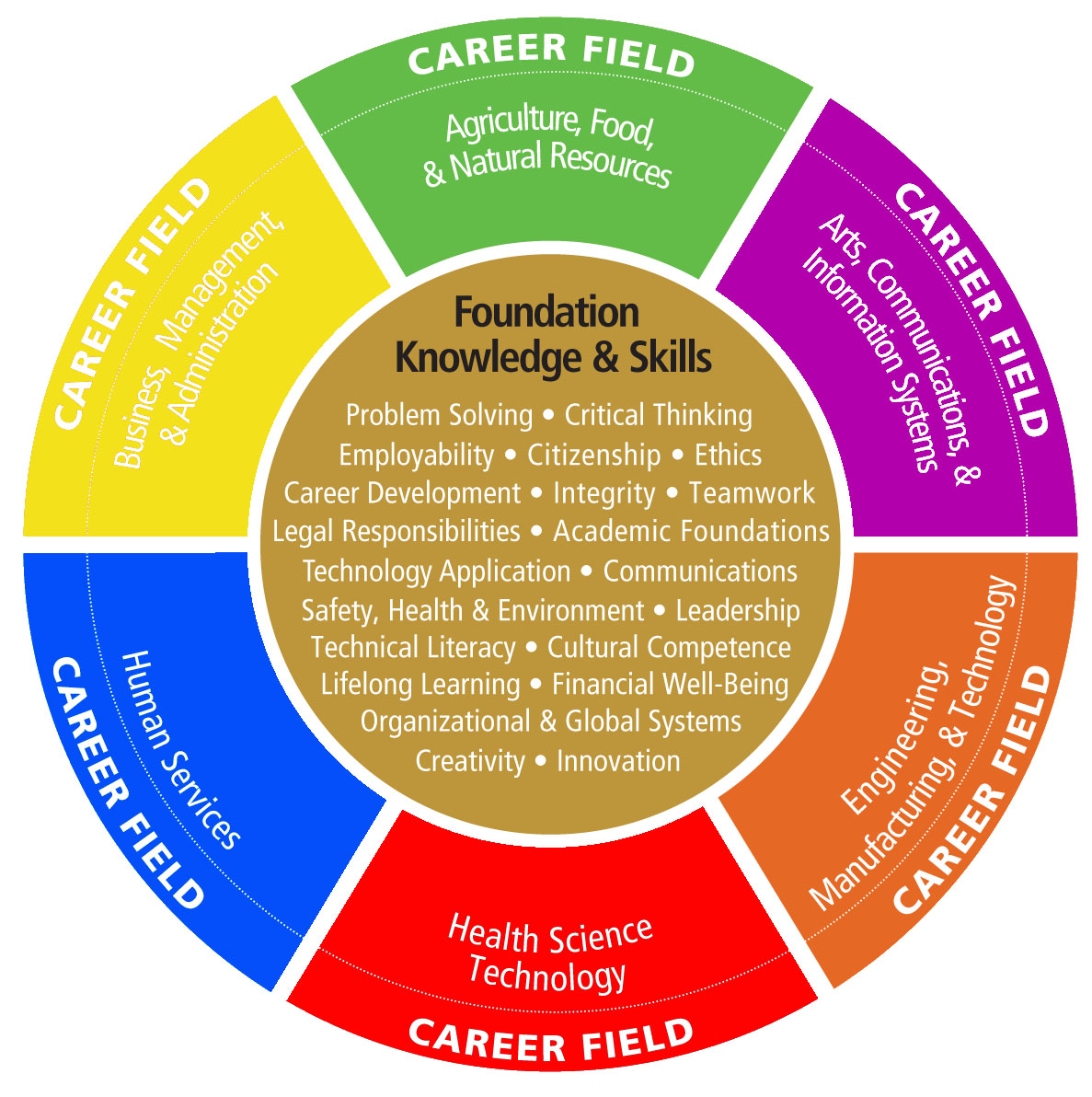 Career And Career Field