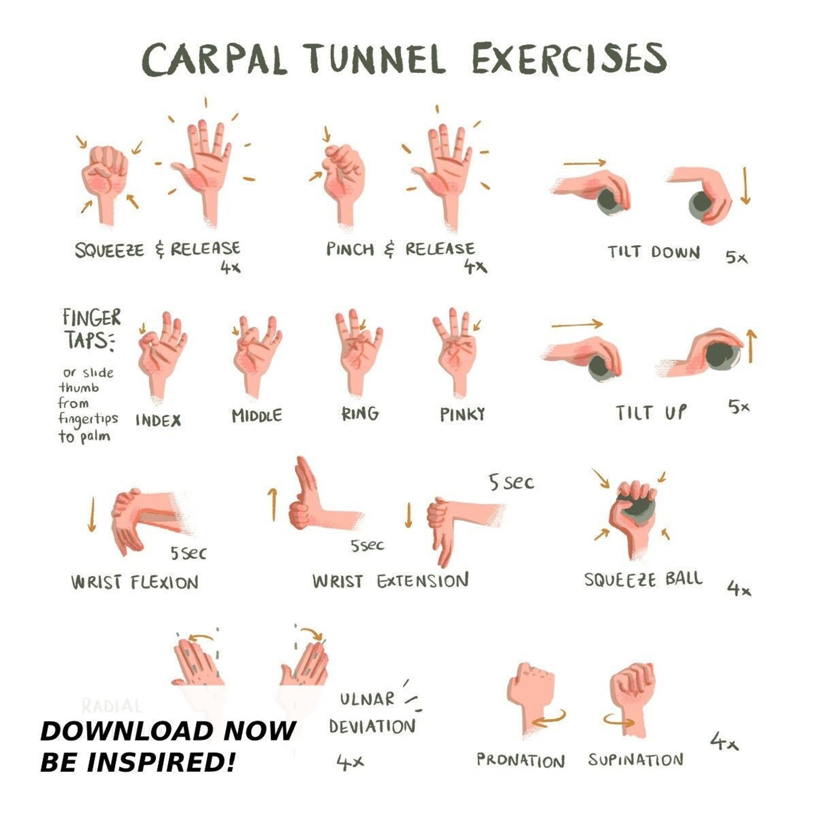 Carpal Tunnel Exercises Pdf