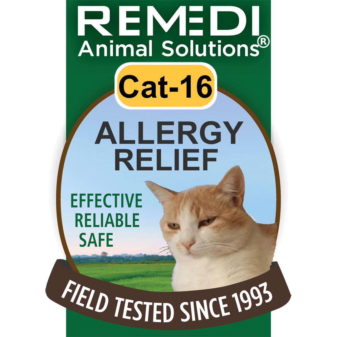 Cat Allergies Treatment